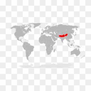 Eʼelyaaígíí - Redpanda - Svg - " - Countries In The World That Drive Clipart