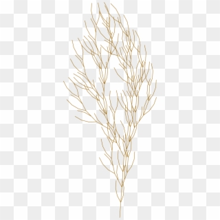 L System Fractal Clipart