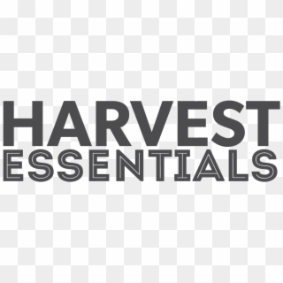 Harvest Essentials Is Designed To Connect You With - Accion Juvenil Clipart