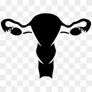 Png File Svg - Female Reproductive System Svg Clipart