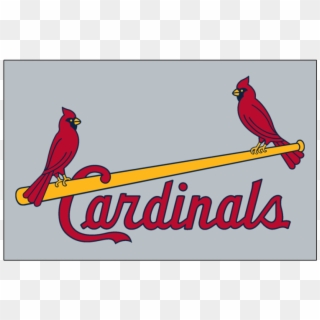 Louis Cardinals Iron On Stickers And Peel-off Decals - St Louis Cardinals Clipart