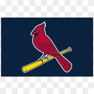 Louis Cardinals Iron On Stickers And Peel-off Decals - St. Louis Cardinals Clipart