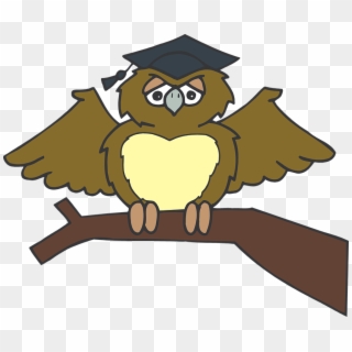 Graduation Clipart Tree - Vektor Burung Hantu Wisuda - Png Download