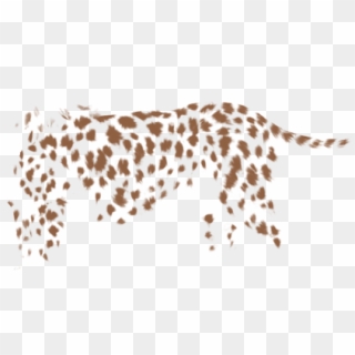 African Leopard Clipart