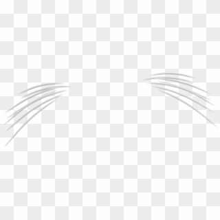 Cat Whiskers Png - White Cat Whiskers Png Clipart