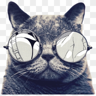 Sunglasses Icon With Cat Free Transparent Image Hq Clipart