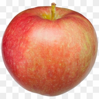 Paula Red Apple Apple - Paula Red Apple Png Clipart