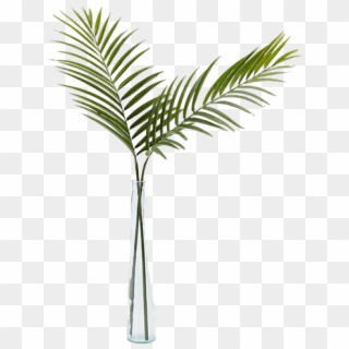 Vase With Palm Leaves Clipart