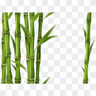 Bamboo Clipart Picture Frame - Transparent Bamboo - Png Download