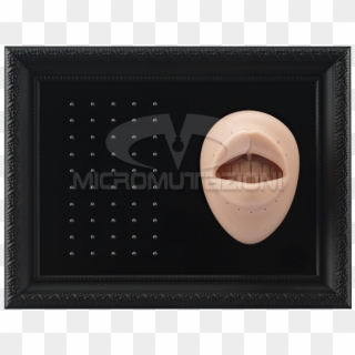 Tattooable Lip Body Parts Display For Internal Micro - Circle Clipart