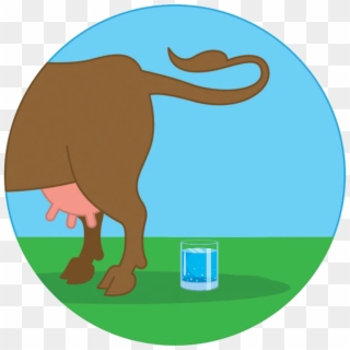Cow Manure In Potsdam's Drinking Water Clipart