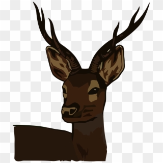 Big Image - Roe Deer Clipart