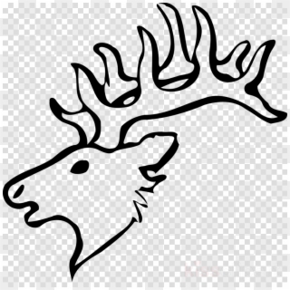 Draw A Deer Head Clipart Reindeer White-tailed Deer - Easy White Tailed Deer Drawing - Png Download