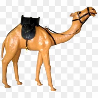 As Per Customer Specification - Arabian Camel Clipart