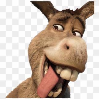 Resultado De Imagen De Burro Png Clipart