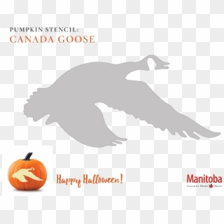 Canadian Goose Pumpkin Carving Stencil Clipart