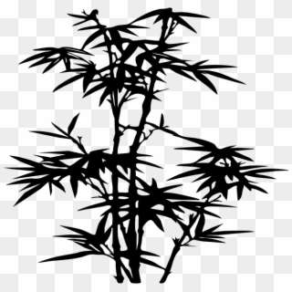 Bamboo, Plant, Black, Silhouette, Leaves Clipart