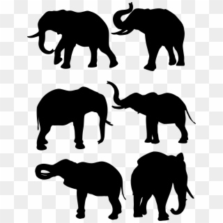 Jungle Theme Day Camp, Shac - Jungle Elephant Silhouette Clipart