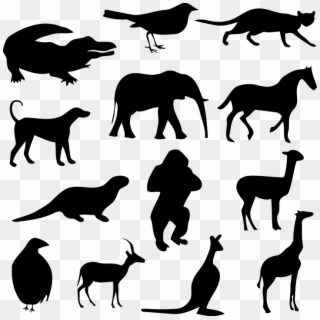 Alligator, Animal, Bird, Cat, Crocodile, Dog, Elephant Clipart