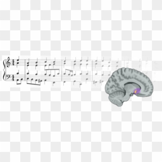 The Researchers Found That Reward Prediction Errors - Music Activates Our Brain's Rewards Center Clipart