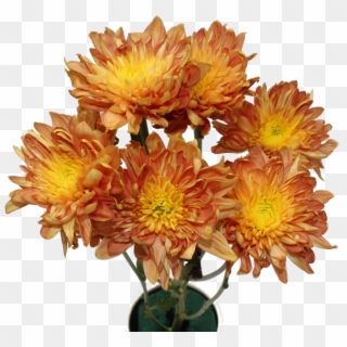 Chrysanthemum Flower Chrysanthemum Flower - Bouquet Clipart
