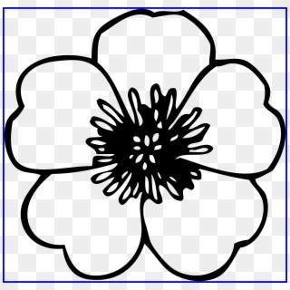 Chrysanthemum Clipart Chrysanthemum Book - Flower Clipart Black And White - Png Download