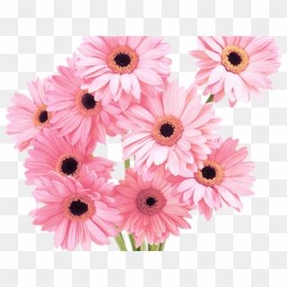 Flowers Pink Tumblr Vaporwave Aesthetic - Flower Bunch Images Hd Clipart