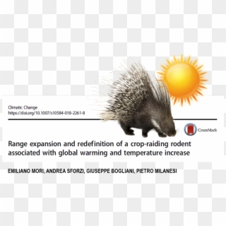 #climaticchange #porcupine #zoology #researchpic - Porkupine Clipart