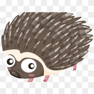 Porcupine Clipart Echidna - Porcupine Cartoon Png Transparent Png