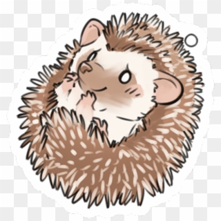 #hedgehog #erizo #porcupine #kawaii #animal #freetoedit - Erizo Kawaii Clipart