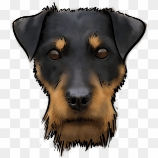 Is A Relatively New Dog In The Dog World - Companion Dog Clipart
