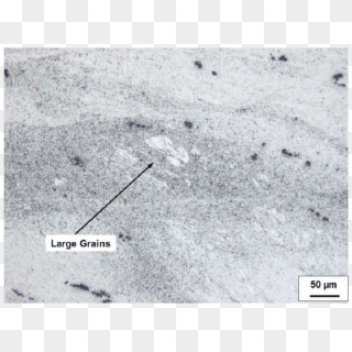 Large White Grain Clusters In A Microsection Of The - Concrete Clipart