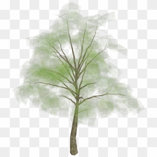 Tree Png Picture - Grass Clipart