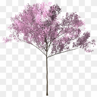 Pohon Sakura Png - Smoke Bunga Background Png Clipart