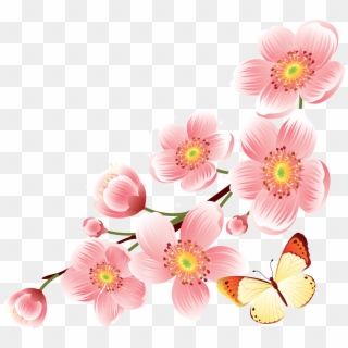 Cherry Blossom Flower Png Clipart