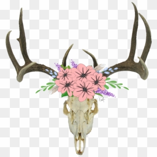 Skull Antlers Flowers Freetoedit Clipart
