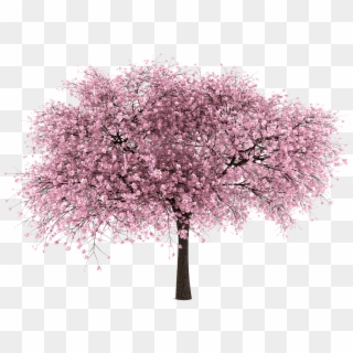 Sakura Clipart Pretty Tree - Cherry Blossom Tree Png Transparent Png