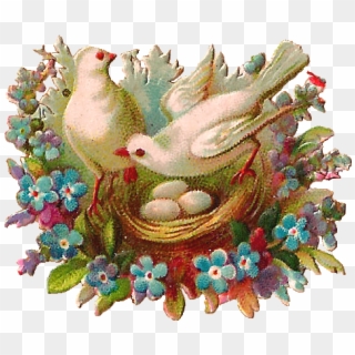 Png Library Download Antique Images Free Bird Clip - Two Doves In A Nest Transparent Png
