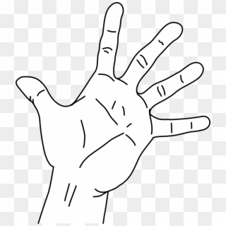 File Measurements Of The Without Png Filemeasurements - Hand Span Sketch Clipart