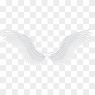 Free White Angel Wings Png Transparent Images - PikPng