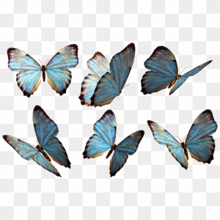 Grupo De Mariposas Azules - Flying Butterfly Png Clipart