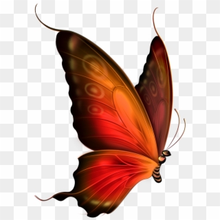 Red And Brown Transparent Butterfly Clipart - Transparent Background Butterfly Gif - Png Download
