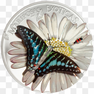Equatorial Guinea 2015 1000 Francos Exotic Butterflies - Butterfly Coin 3d Clipart