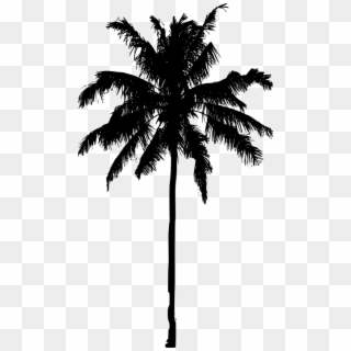 581 X 1024 20 - Palm Tree Silhouette Png Clipart