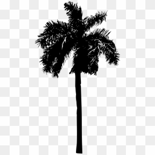 Free Download - Palm Tree Clipart