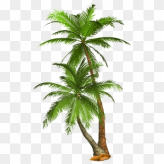 Free Png Palm Tree Png Images Transparent - Palm Trees Transparent Background Clipart