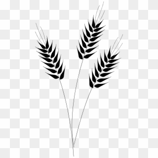 Grain Clipart Wheat Silhouette - Wheat Clipart Transparent Background - Png Download
