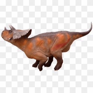 Triceratops - Dinosaur Avaceratops Png Clipart