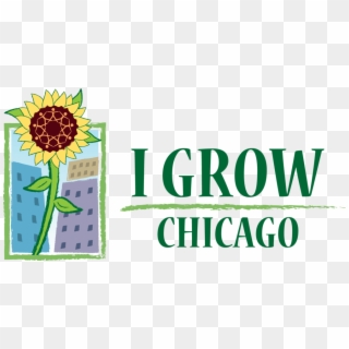 I Grow Chicago - Sunflower Clipart