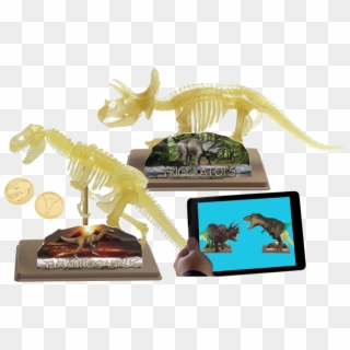 Ar Dinosaur Skeleton Museum - Triceratops Clipart